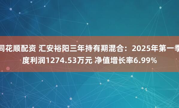 同花顺配资 汇安裕阳三年持有期混合：2025年第一季度利润1274.53万元 净值增长率6.99%