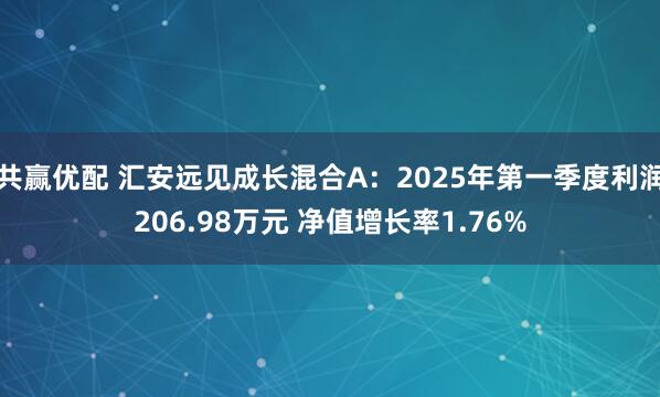 共赢优配 汇安远见成长混合A：2025年第一季度利润206.98万元 净值增长率1.76%