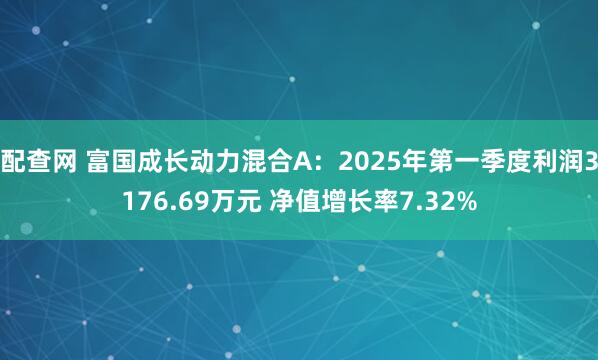配查网 富国成长动力混合A：2025年第一季度利润3176.69万元 净值增长率7.32%