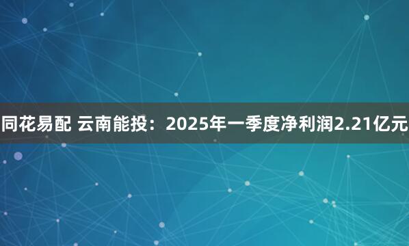 同花易配 云南能投：2025年一季度净利润2.21亿元