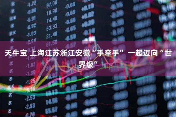 天牛宝 上海江苏浙江安徽“手牵手” 一起迈向“世界级”