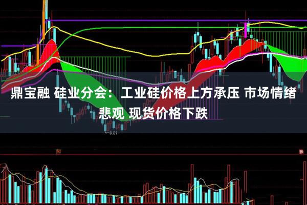 鼎宝融 硅业分会：工业硅价格上方承压 市场情绪悲观 现货价格下跌