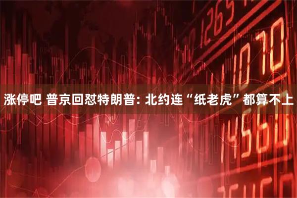 涨停吧 普京回怼特朗普: 北约连“纸老虎”都算不上