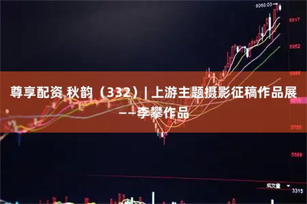 尊享配资 秋韵（332）| 上游主题摄影征稿作品展——李攀作品